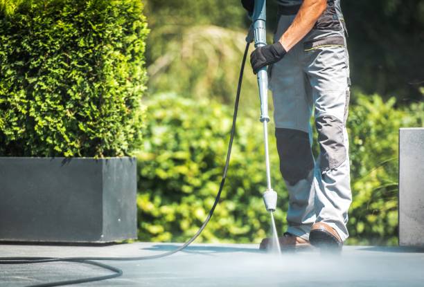Best Pre-Holiday Cleaning  in Three Oaks, FL