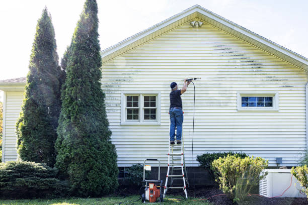 Best Driveway Pressure Washing  in Three Oaks, FL